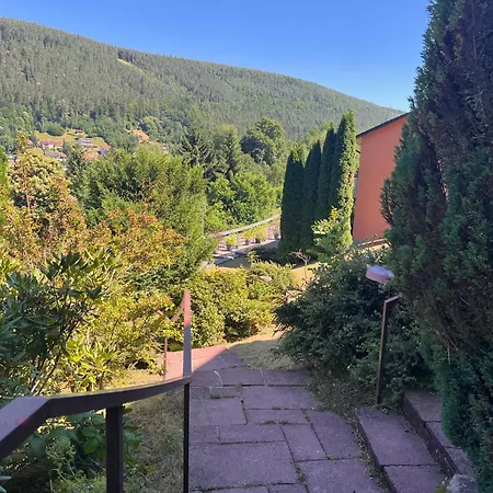 Apartament 1-zimmer Mit Talblick Bad Wildbad