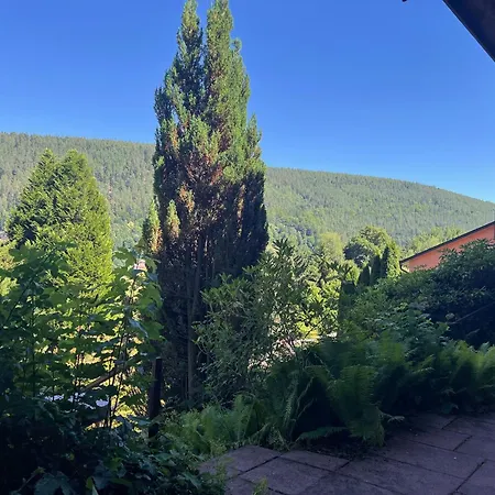 1-zimmer Mit Talblick Bad Wildbad
